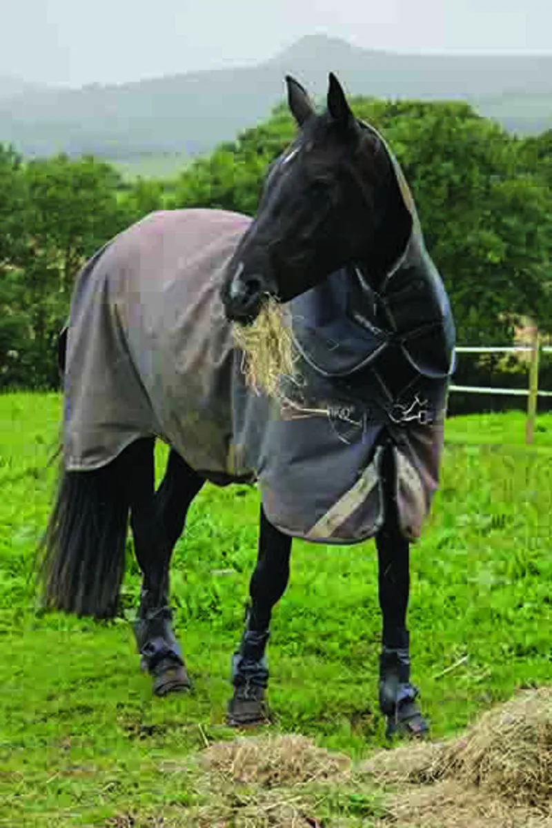 Woof Wear Mud Fever Boot - Large-4