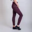 Gallop High-Waist Sophia Full Silicone Seat Tights - Burgundy