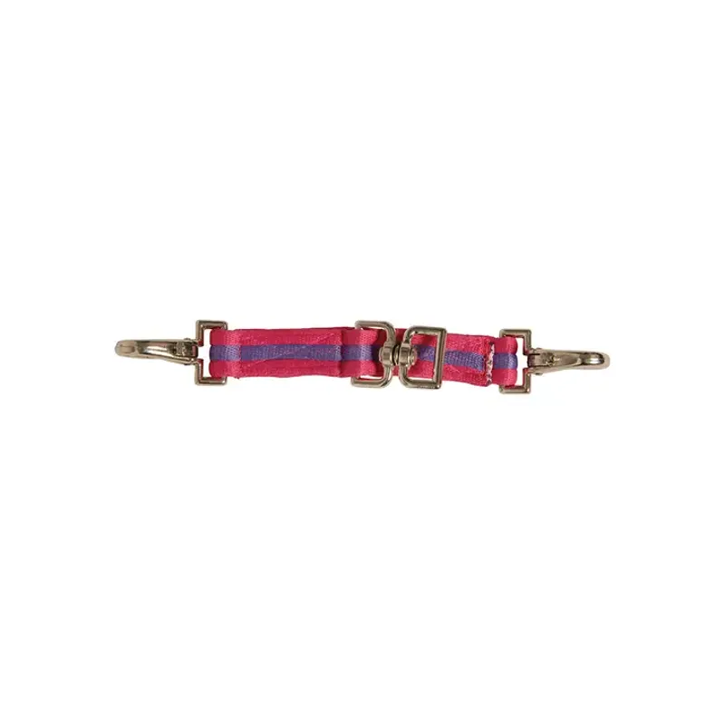 Lunge Attachment PINK/PURPLE
