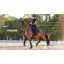LeMieux Self-Cool Dressage Square - Navy
