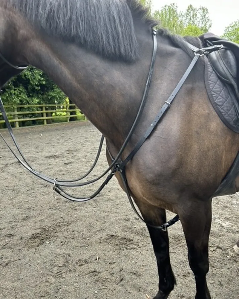 ENGLISH LEATHER Hunter Breast Plate Martingale Black-1