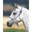 Shires Rope Control Headcollar One Size - Blue
