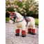 LeMieux Toy Pony Bandages - Sienna