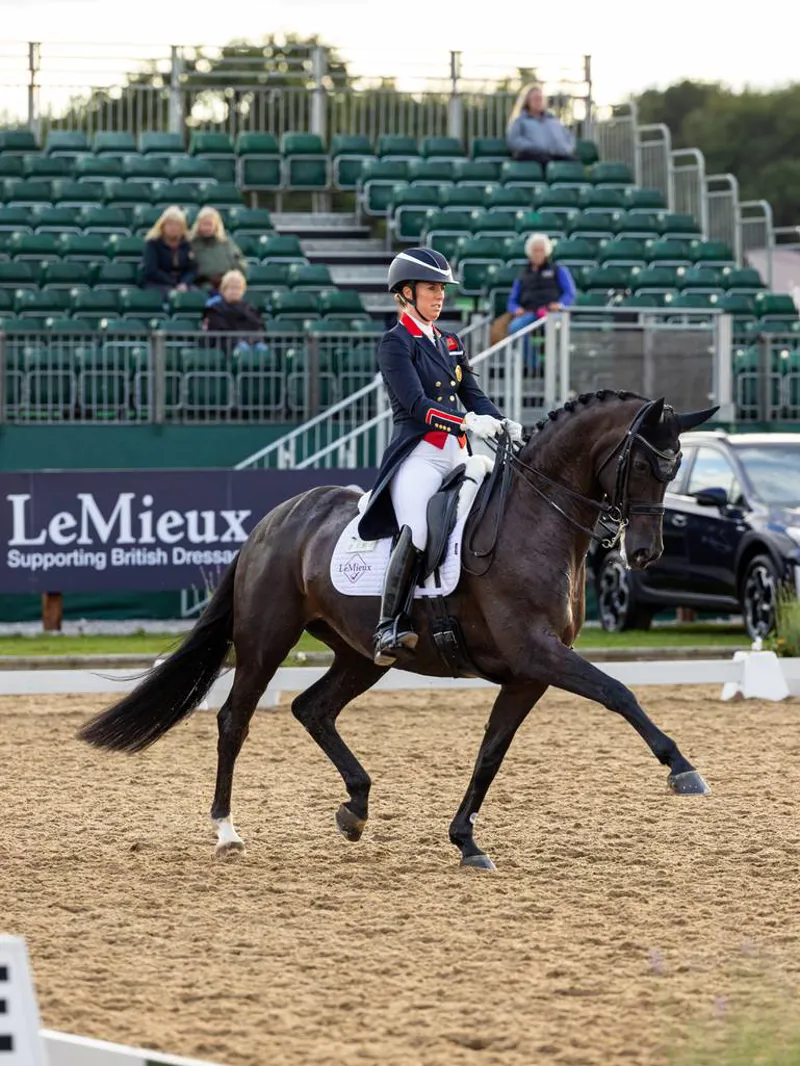 LeMieux Suede Dressage Square - White