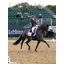 LeMieux Suede Dressage Square - White