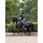 LeMieux Suede  Dressage Square - Navy