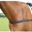 Shires Velociti GARA Elastic Breast Girth - Havana