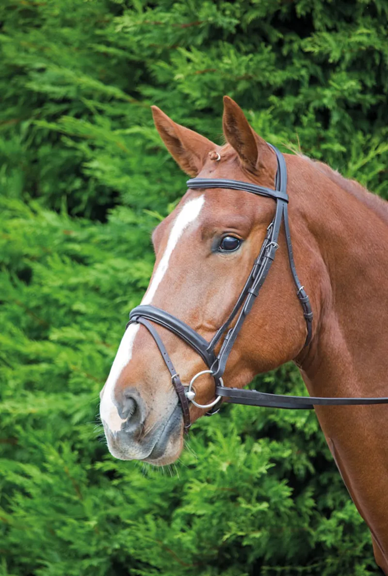 Shires Velociti GARA Comfort Fit Bridle - Havana