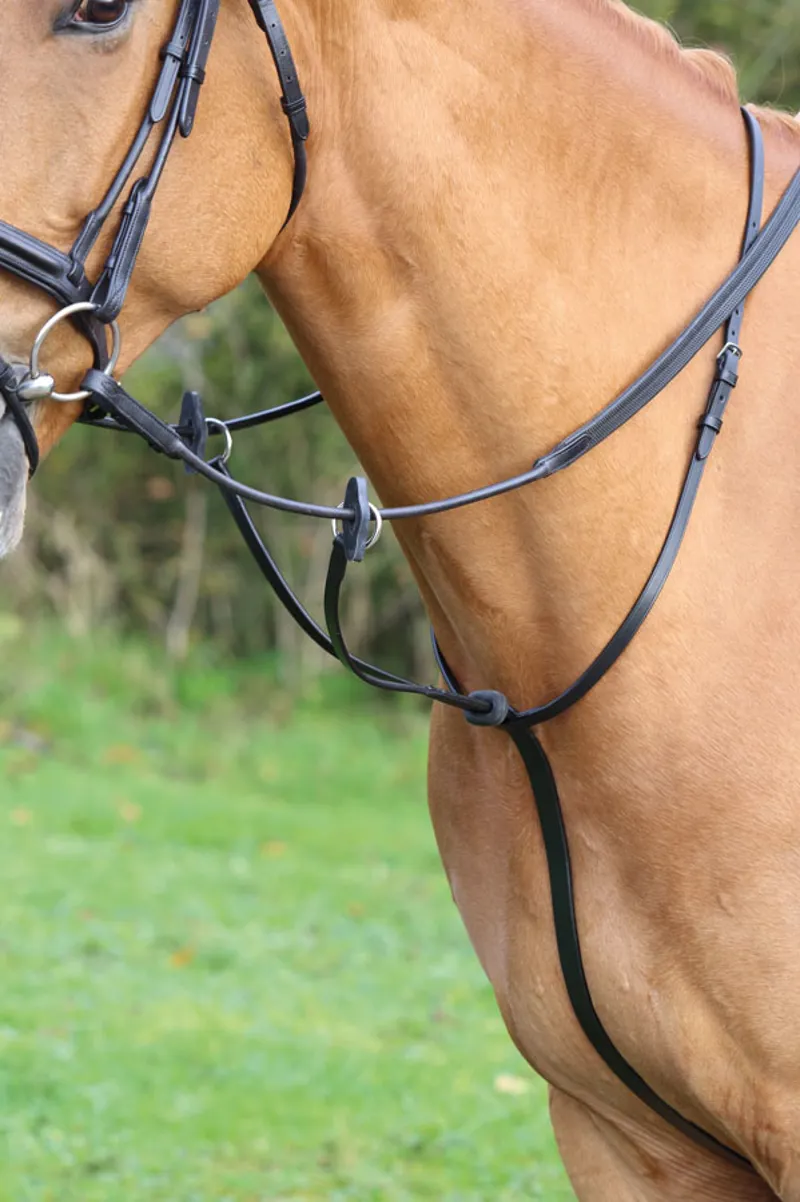 Shires Velociti GARA Running Martingale - Havana 