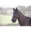 Greenguard Muzzle BLACK pony