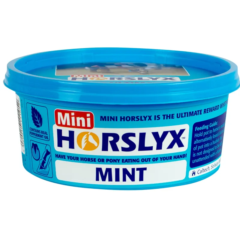 Horslyx Mini 650g - Mint