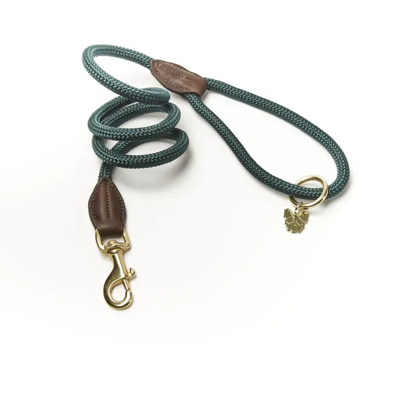 Digby and Fox Fine Rope Lead in Green