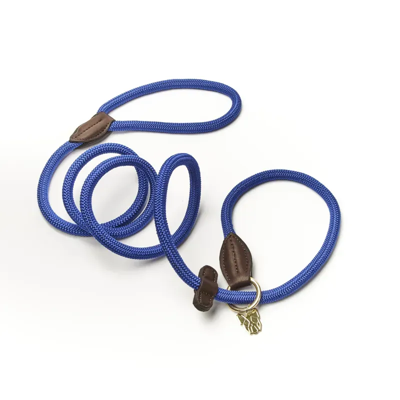Digby and Fox Fine Rope Slip Lead - Blue