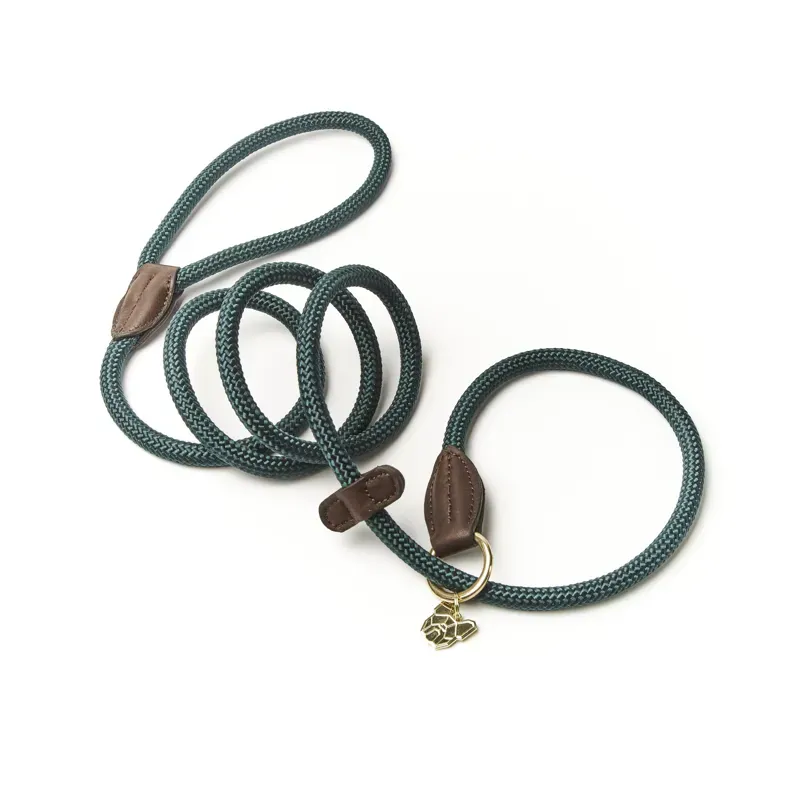 Digby and Fox Fine Rope Slip Lead - Green