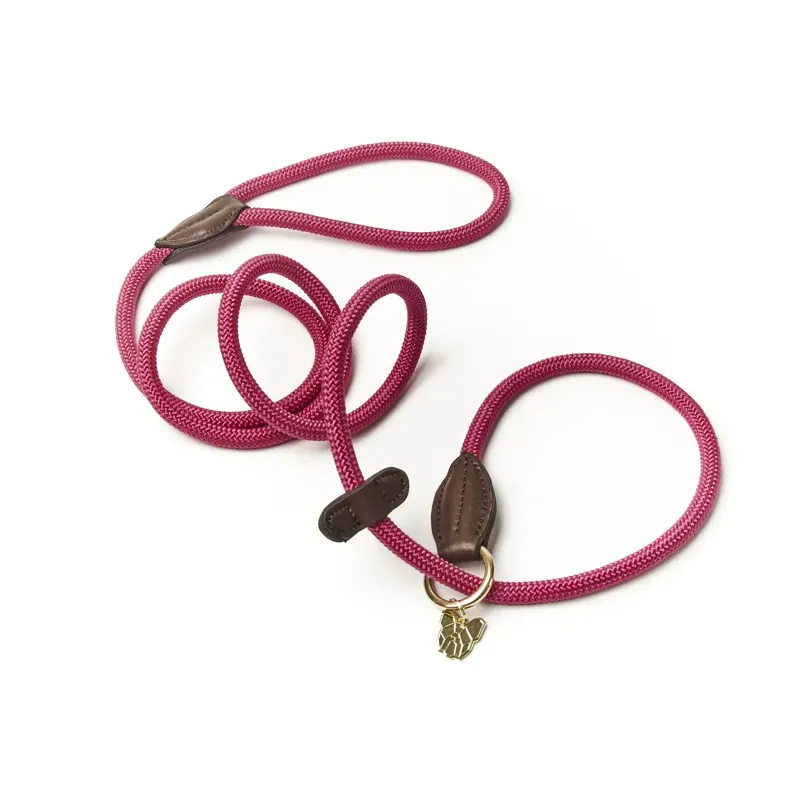Digby and Fox Fine Rope Slip Lead - Pink