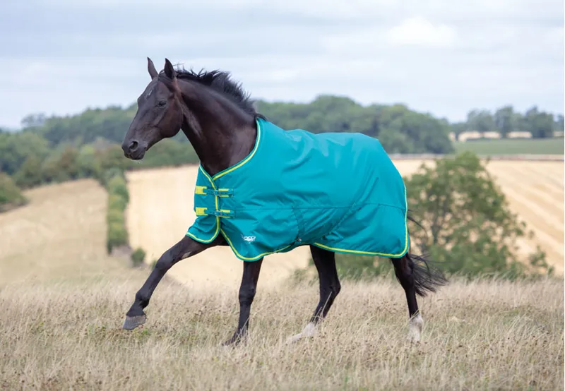 Shires Tempest Original 50 Turnout Rug - Blue