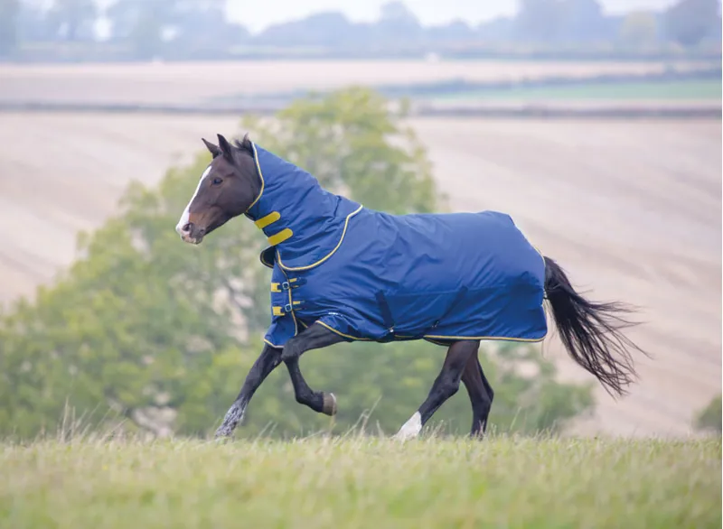 Shires Tempest Original 300 Turnout Rug and Neck Set - Black