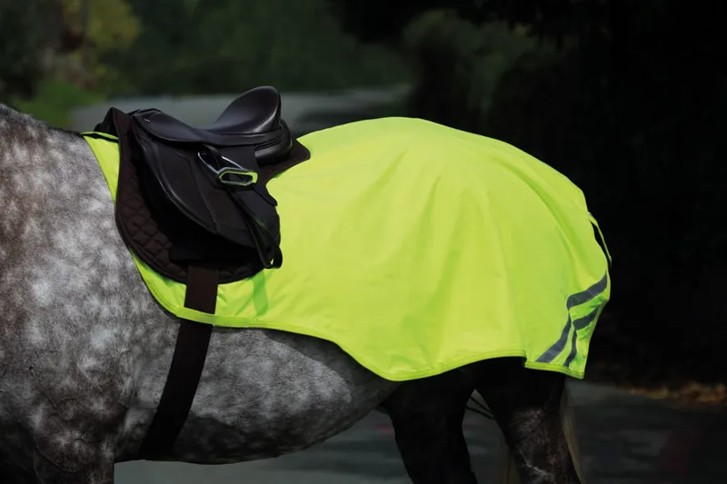 Equi-Flectora Mesh Exercise Sheet - Yellow