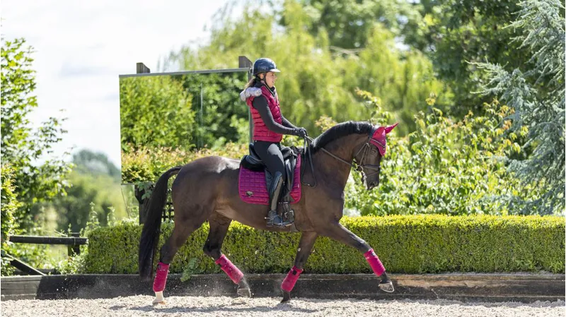 LeMieux Loire Classic Dressage Square - Mulberry