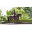 LeMieux Loire Classic Dressage Square - Mulberry
