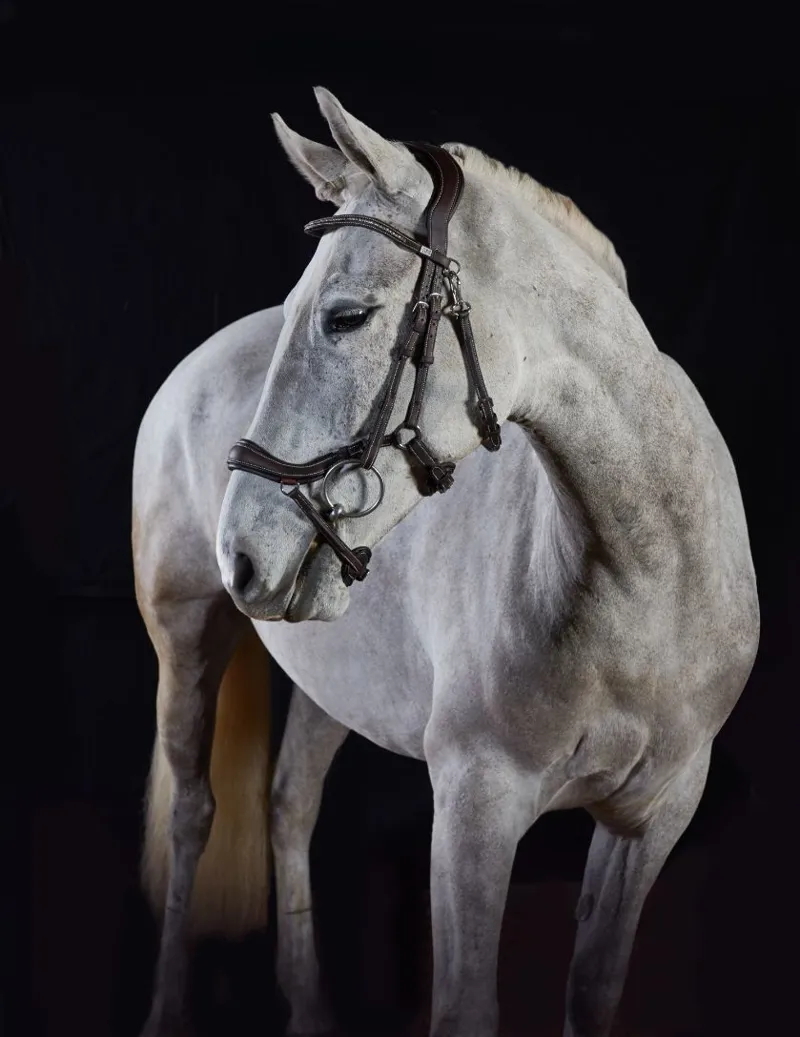 GFS Premier Prosperity Bridle - Brown-2