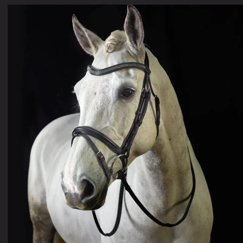 GFS MONARCH FLASH BRIDLE - Brown