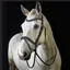 GFS MONARCH FLASH BRIDLE - Black