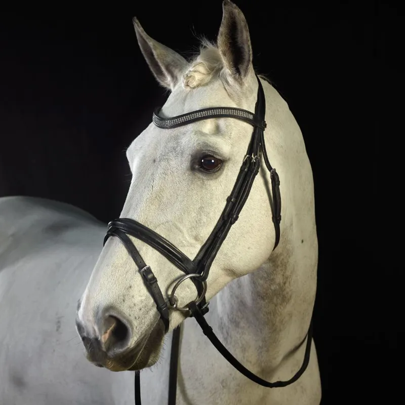 GFS MONARCH FLASH BRIDLE - Brown-1