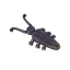 Roma Beetle Boot Jack - Black