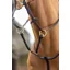 LeMieux Running Martingale - Brown