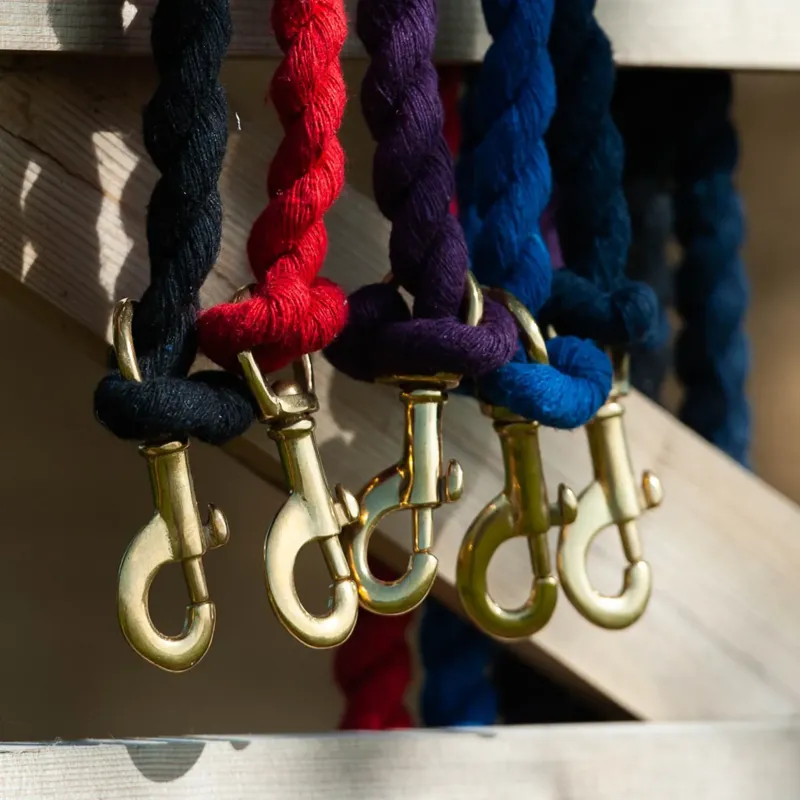 Gallop Lead Rope Purple