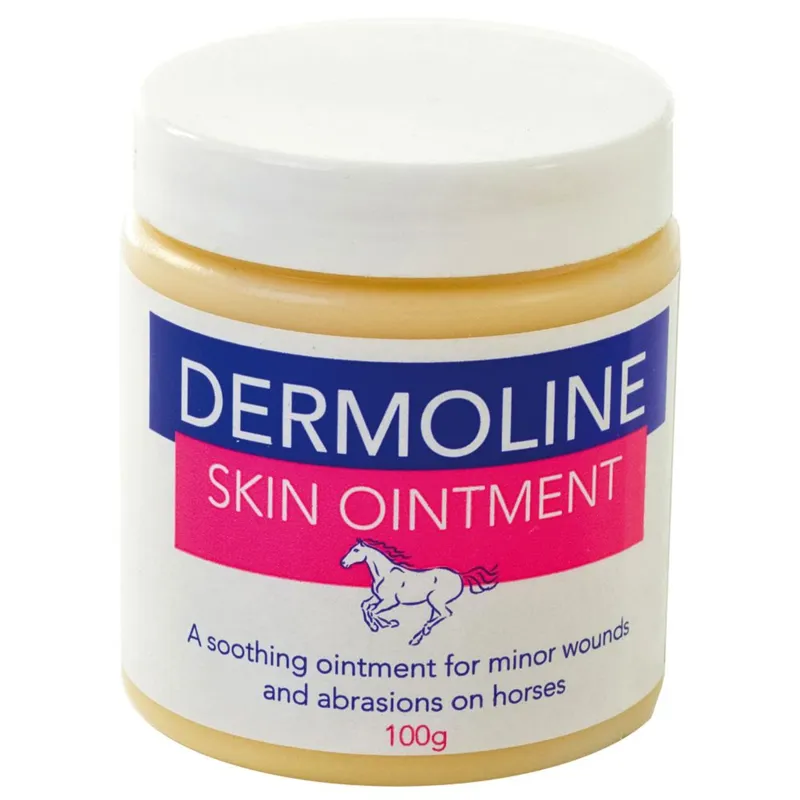 Dermoline Skin Ointment 100g