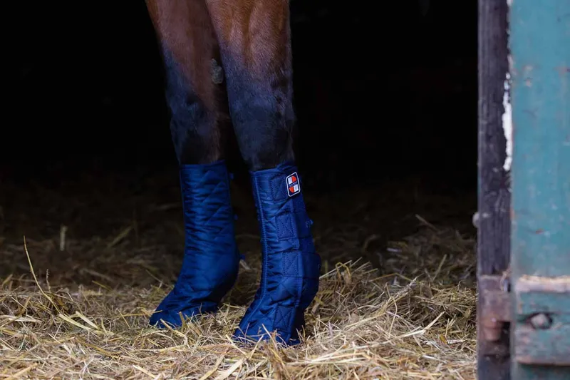 Equilibrium Equi-Chaps Stable Chaps - Blue-4
