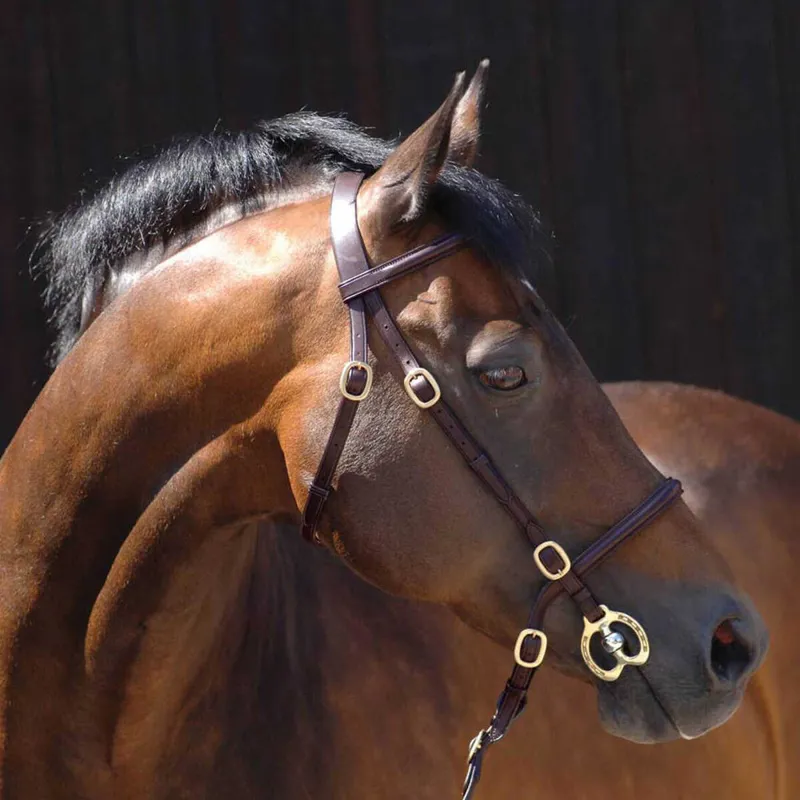 Caldene In-Hand Bridle Brown Full
