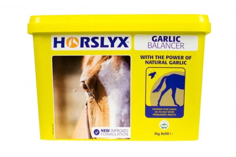 Horslyx - Garlic Balancer