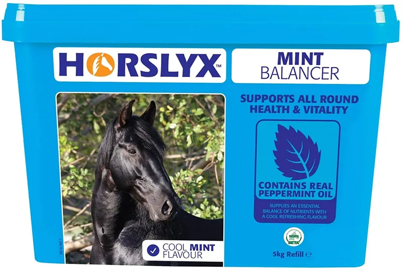 Horslyx - Mint Balancer