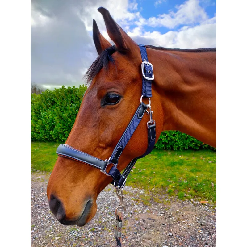 KM Elite Leather Webbing Headcollar - Navy/Black