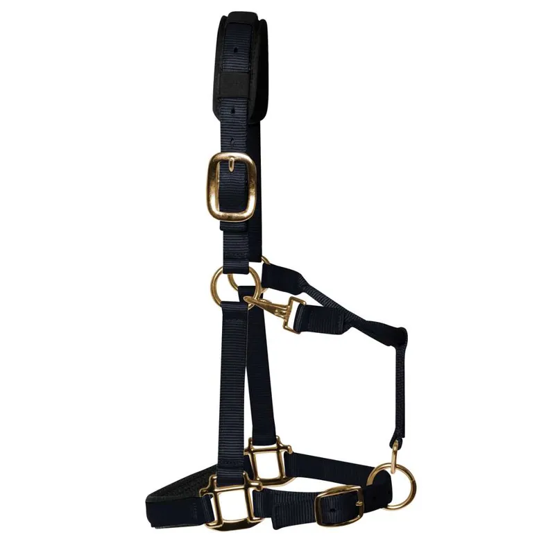 KM Elite Padded Headcollar - Black