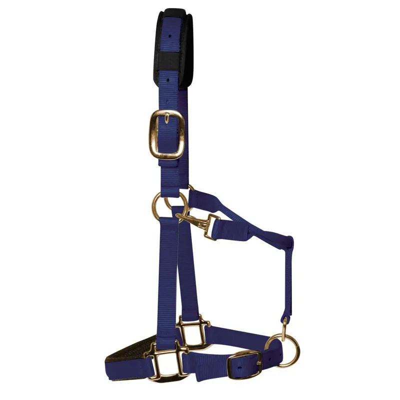 KM Elite Padded Headcollar - Navy
