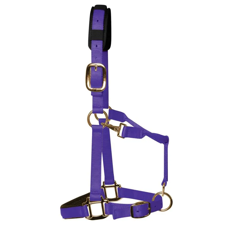 KM Elite Padded Headcollar - Purple