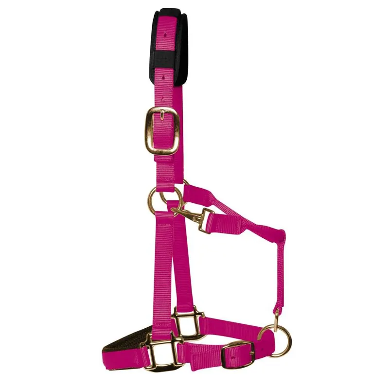 KM Elite Padded Headcollar - Raspberry