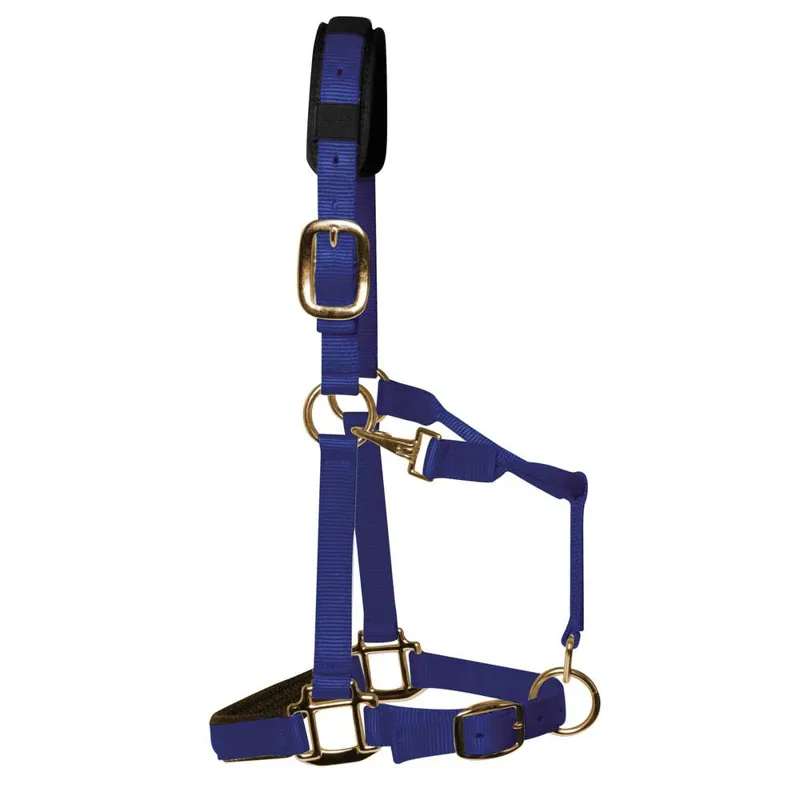 KM Elite Padded Headcollar - Royal Blue
