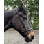 ENGLISH LEATHER Flash Nose Band Brown
