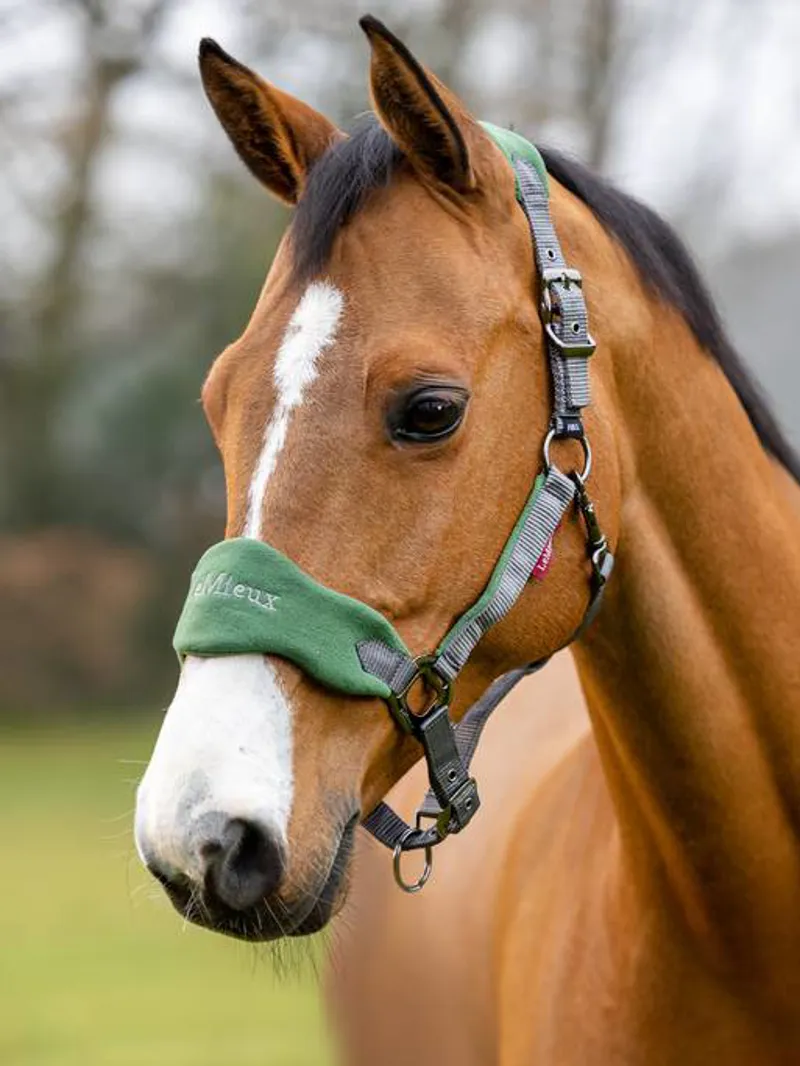 LeMieux Vogue Headcollar and Leadrope - Hunter Green