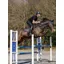 LeMieux Ultra Mesh Close Contact Square - Black