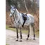 LeMieux Ultra Mesh Close Contact Square - Grey