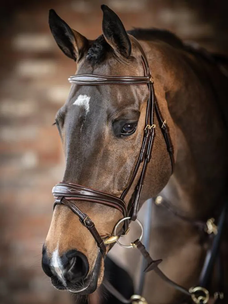 LeMieux Kudos Elegant Stitched Competition Flash Bridle - Havana