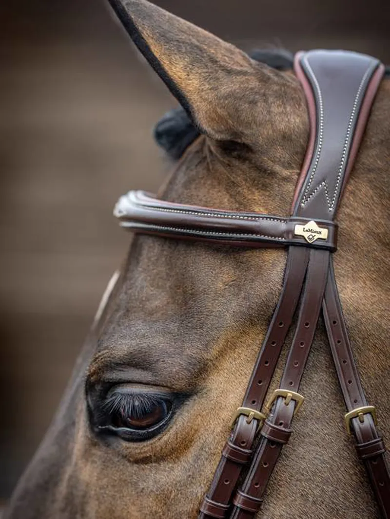 LeMieux Kudos Elegant Stitched Competition Flash Bridle - Havana-2