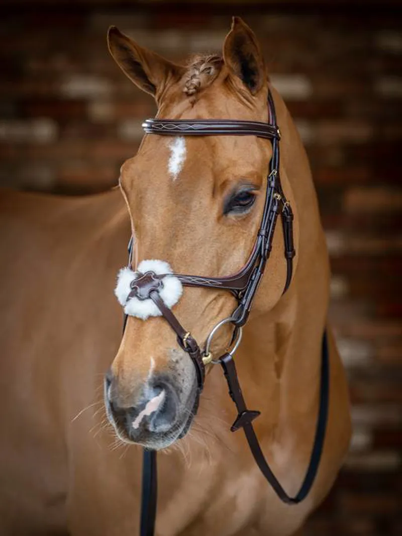 LeMieux Kudos Soft Leather Grackle Bridle - Havana-1