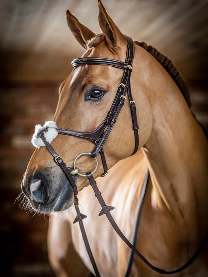 LeMieux Kudos Soft Leather Grackle Bridle - Havana